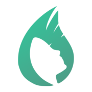 Logo de www.airalia.es