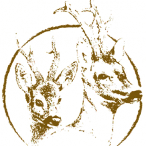 Logo de 🥇Bodega Los Corzos