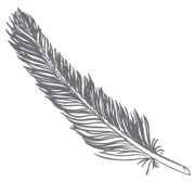 Logo de Travel me Softly