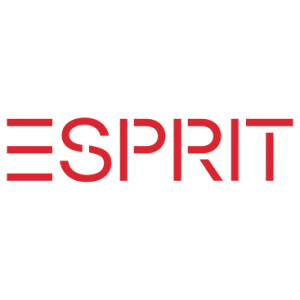 Logo de Espritchile