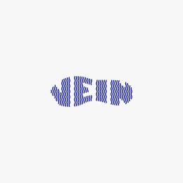 Logo de VEIN STORE
