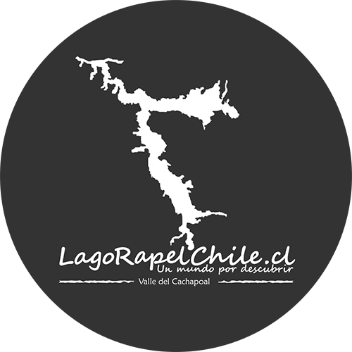 Logo de Plataforma LagoRapelChile.cl